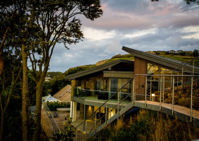 treetops